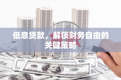 乌什低息贷款，解锁财务自由的关键策略