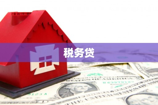 乌什税务贷
