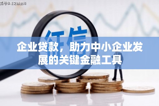 乌什企业贷款，助力中小企业发展的关键金融工具