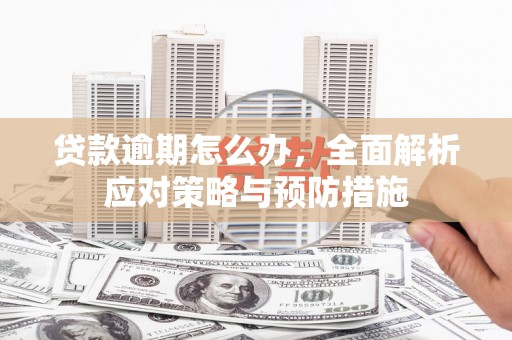 乌什贷款逾期怎么办，全面解析应对策略与预防措施