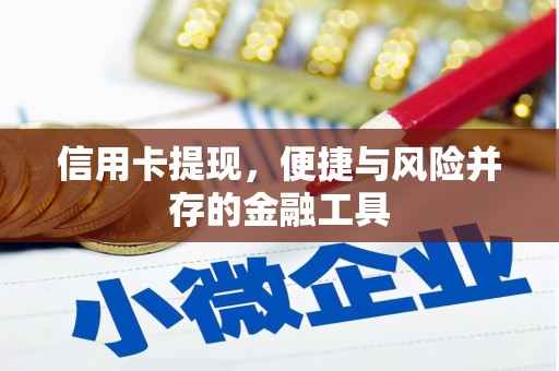 乌什信用卡提现，便捷与风险并存的金融工具