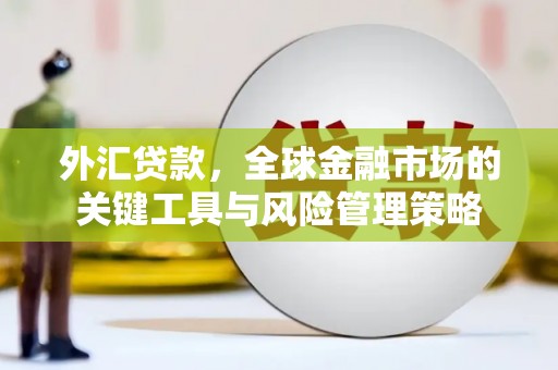乌什外汇贷款，全球金融市场的关键工具与风险管理策略