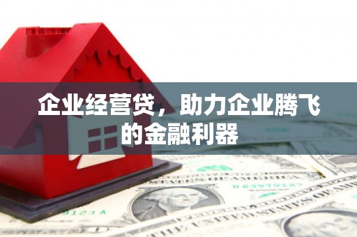 乌什企业经营贷，助力企业腾飞的金融利器