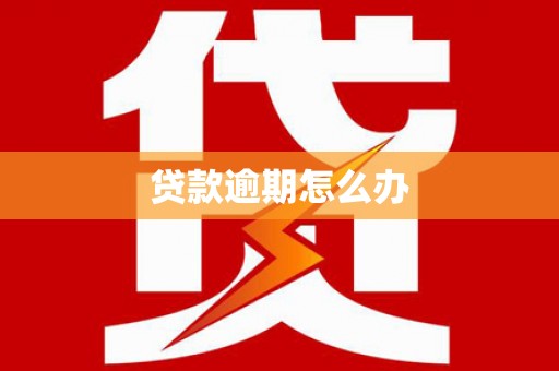 乌什贷款逾期怎么办