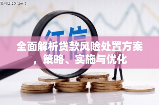 乌什全面解析贷款风险处置方案，策略、实施与优化