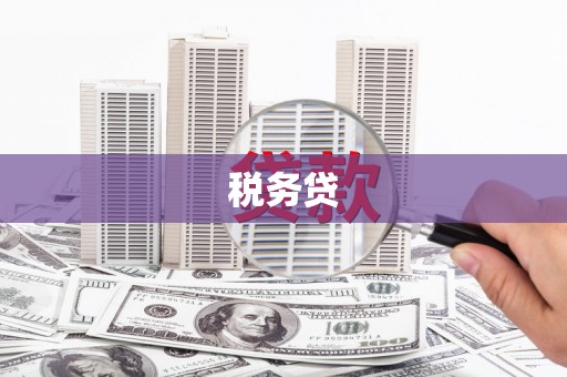 乌什税务贷