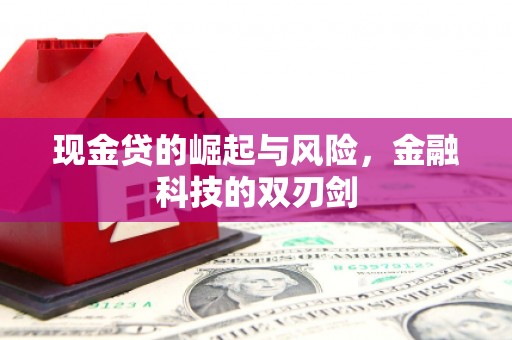 乌什现金贷的崛起与风险，金融科技的双刃剑