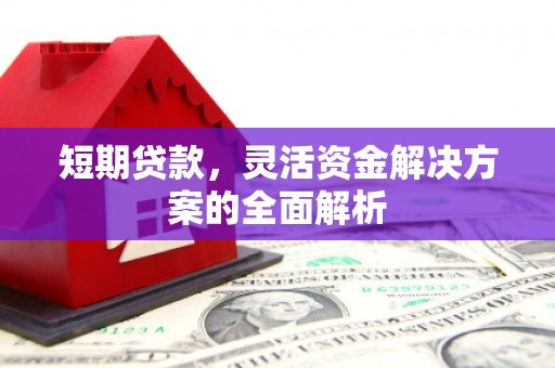 乌什短期贷款，灵活资金解决方案的全面解析