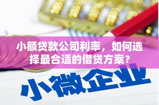 乌什小额贷款公司利率，如何选择最合适的借贷方案？