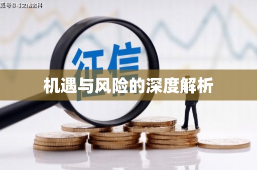 乌什机遇与风险的深度解析