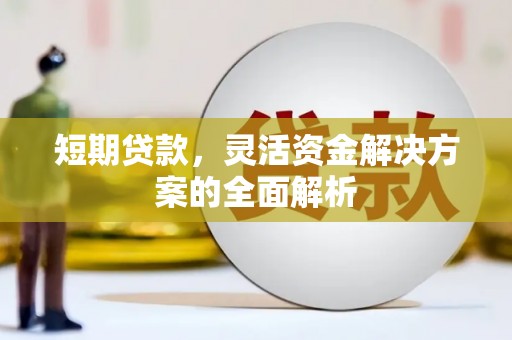 乌什短期贷款，灵活资金解决方案的全面解析