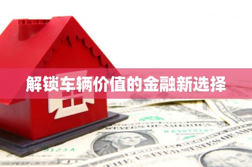 乌什解锁车辆价值的金融新选择