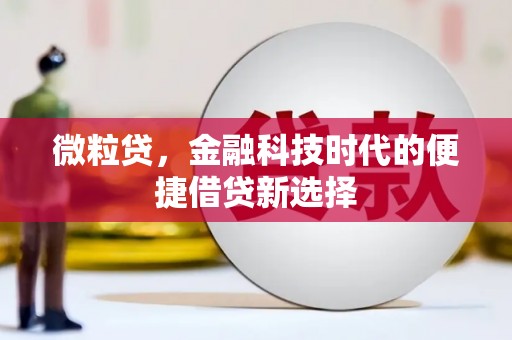 乌什微粒贷，金融科技时代的便捷借贷新选择