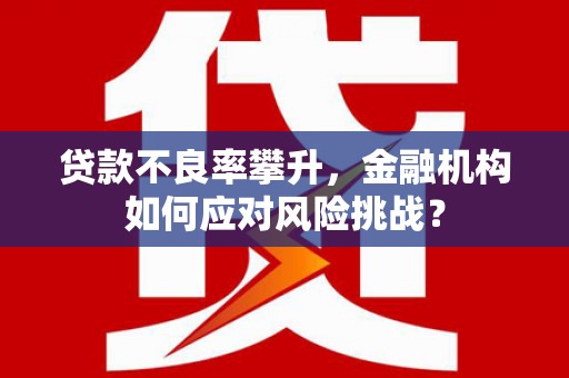乌什贷款不良率攀升，金融机构如何应对风险挑战？