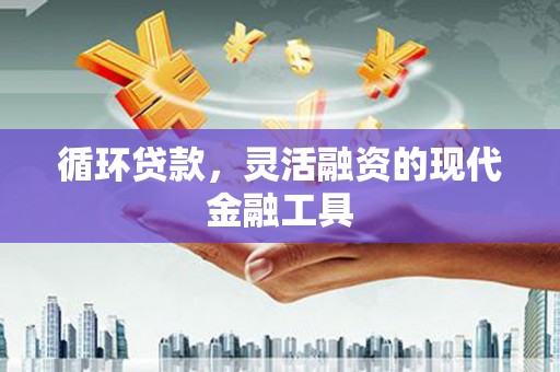 乌什循环贷款，灵活融资的现代金融工具