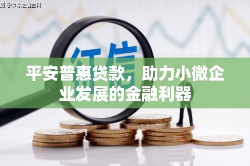乌什平安普惠贷款，助力小微企业发展的金融利器