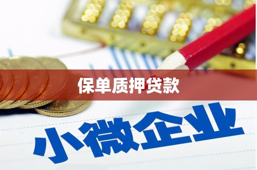 乌什保单质押贷款