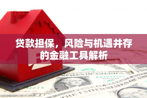 乌什贷款担保，风险与机遇并存的金融工具解析