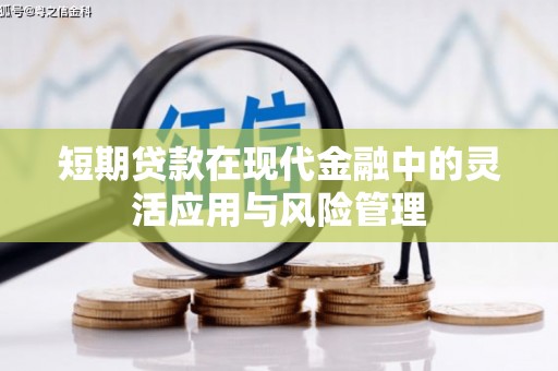 乌什短期贷款在现代金融中的灵活应用与风险管理