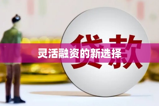 乌什灵活融资的新选择