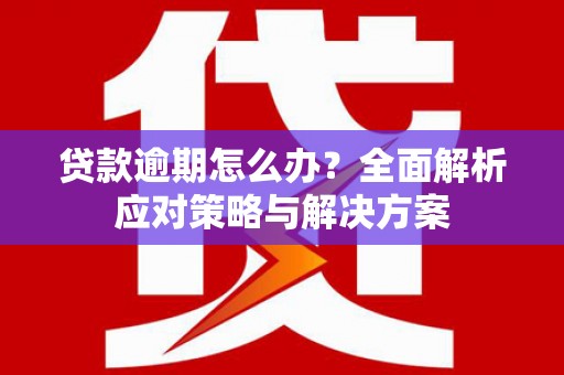 乌什贷款逾期怎么办？全面解析应对策略与解决方案