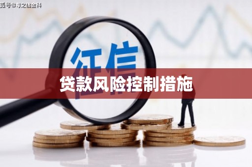 乌什贷款风险控制措施