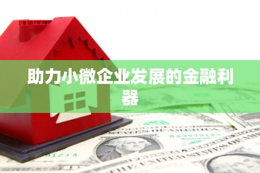 乌什助力小微企业发展的金融利器