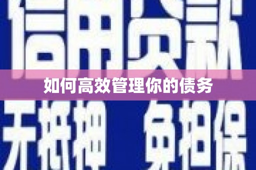 乌什如何高效管理你的债务