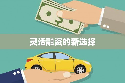 乌什灵活融资的新选择