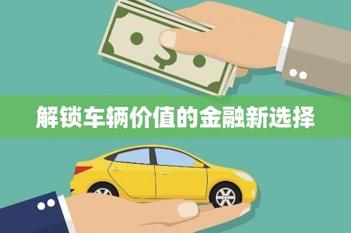 乌什解锁车辆价值的金融新选择