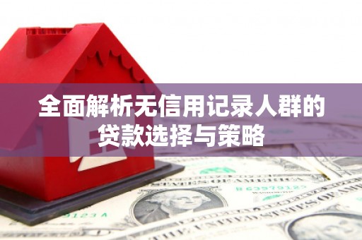 乌什全面解析无信用记录人群的贷款选择与策略