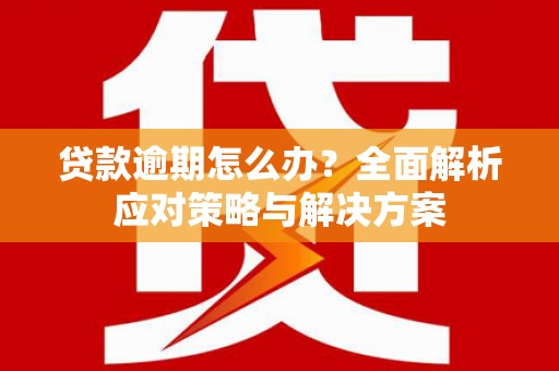 乌什贷款逾期怎么办？全面解析应对策略与解决方案