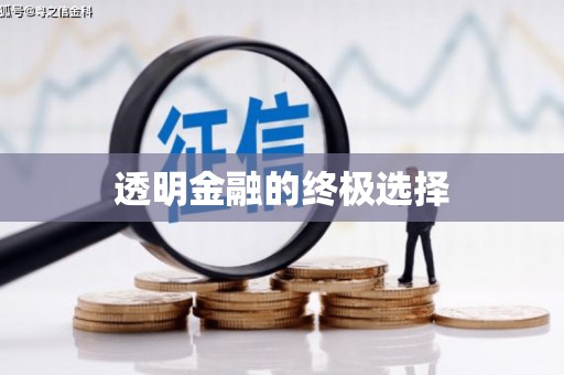 乌什透明金融的终极选择
