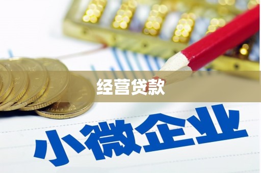 乌什经营贷款