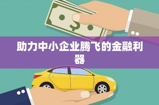 乌什助力中小企业腾飞的金融利器