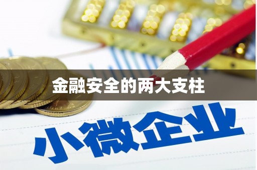 乌什金融安全的两大支柱