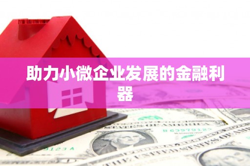 乌什助力小微企业发展的金融利器