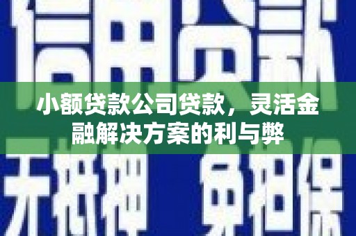 乌什小额贷款公司贷款，灵活金融解决方案的利与弊