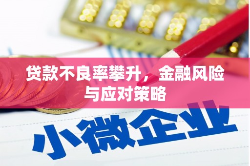 乌什贷款不良率攀升，金融风险与应对策略